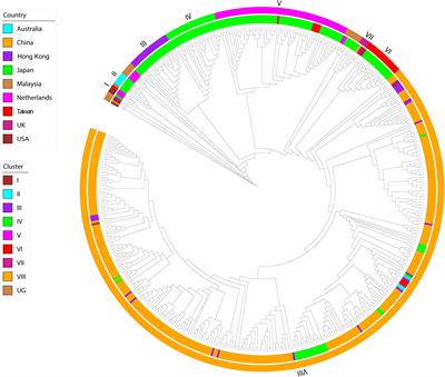 Molecular Evolution of Human Norovirus GII.2 Clusters